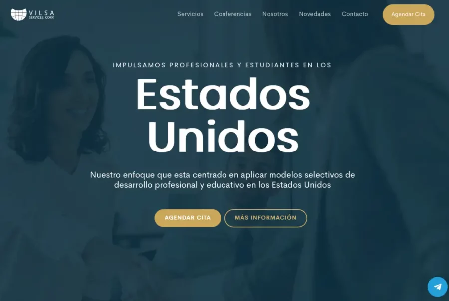 Vilsa Services website screenshot